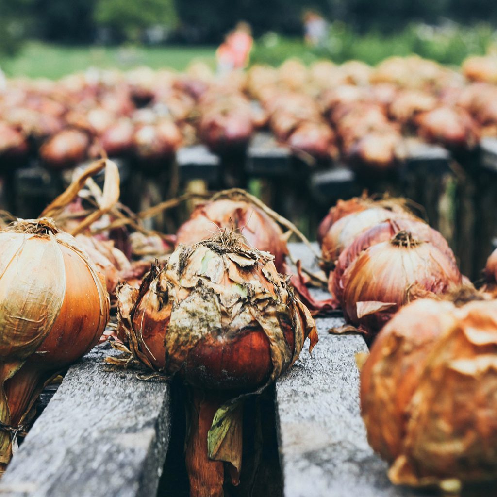 6 Surprising Stats About Food Waste On Farms Trendi