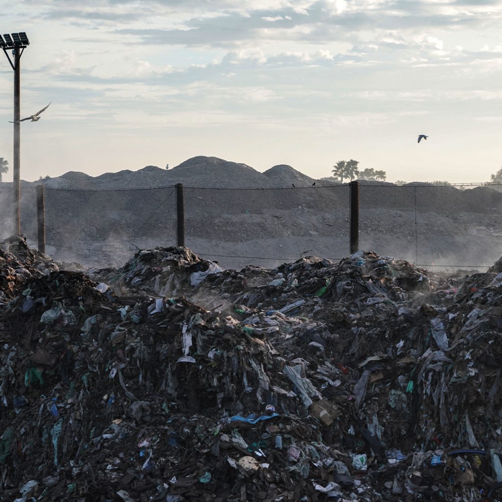 What is the Best Way to Upcycle Food Waste From Farms? Trendi